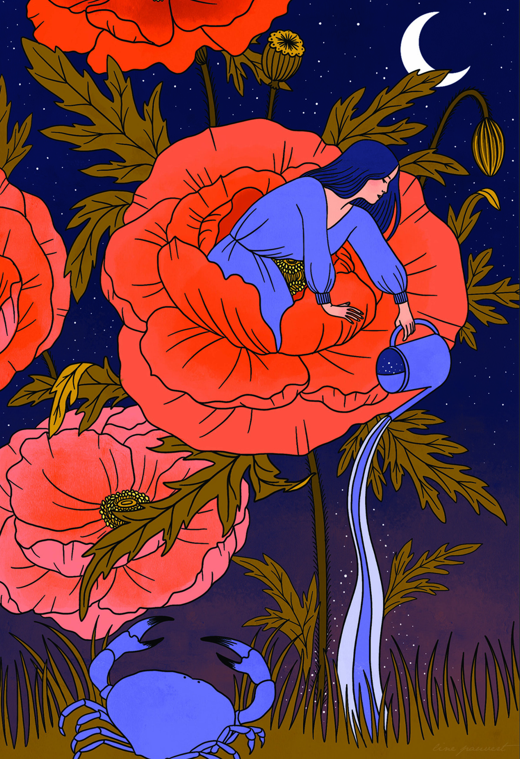 illustration astrologie